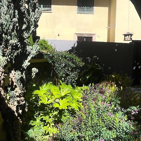 Loquat House Nel Giardino Segreto In Zona Vaticano โรม ภายนอก รูปภาพ