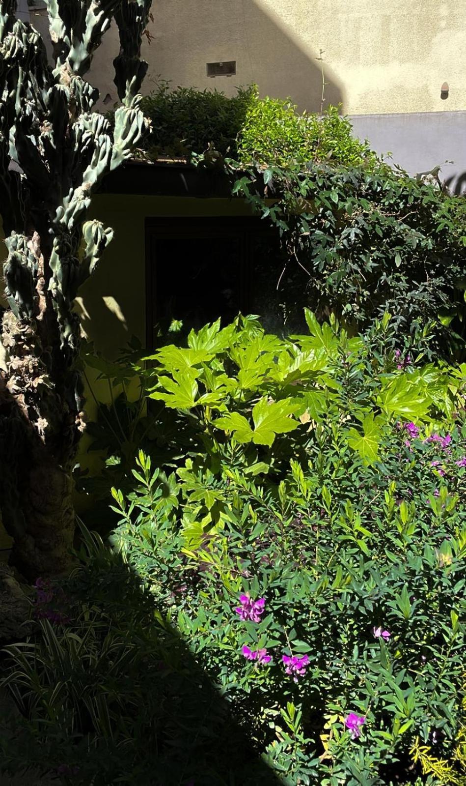 Loquat House Nel Giardino Segreto In Zona Vaticano โรม ภายนอก รูปภาพ